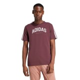 adidas sportswear M C COLLEG TEE JM0380 Βordeaux Image 