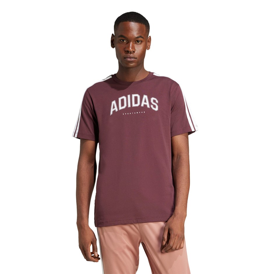 adidas sportswear M C COLLEG TEE JM0380 Βordeaux