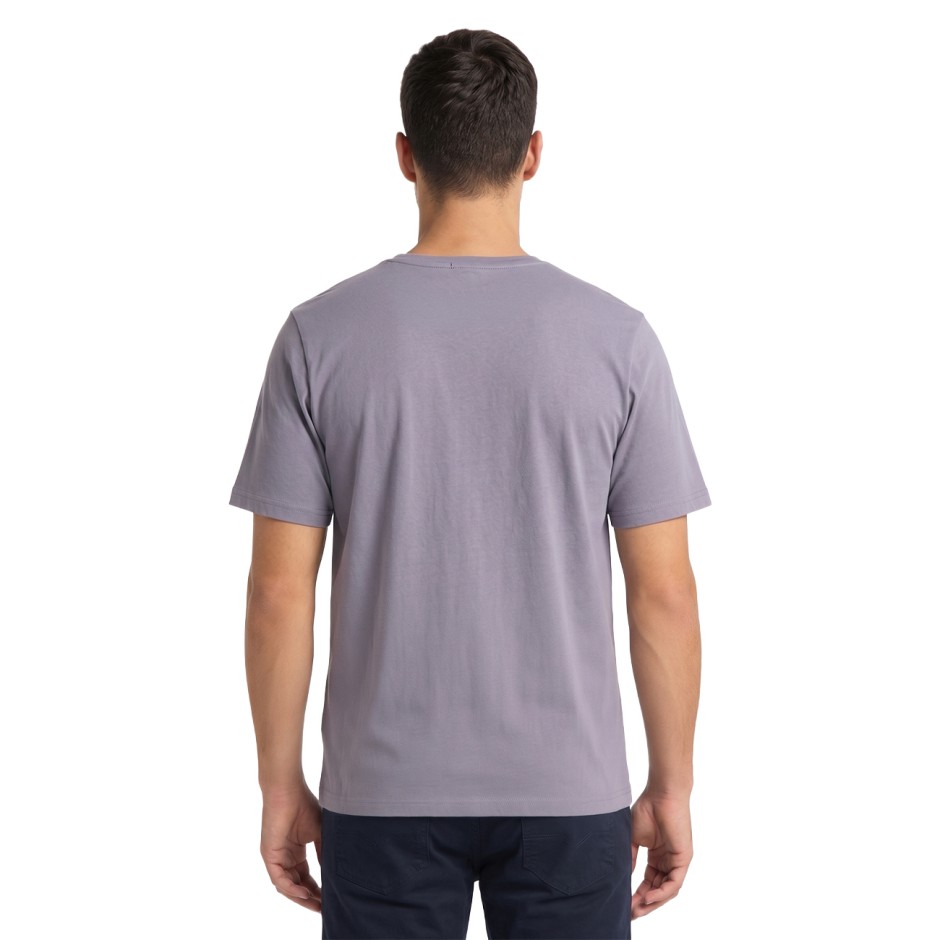 Men's T-Shirt Grey - JJ Rebel Jrebvalde