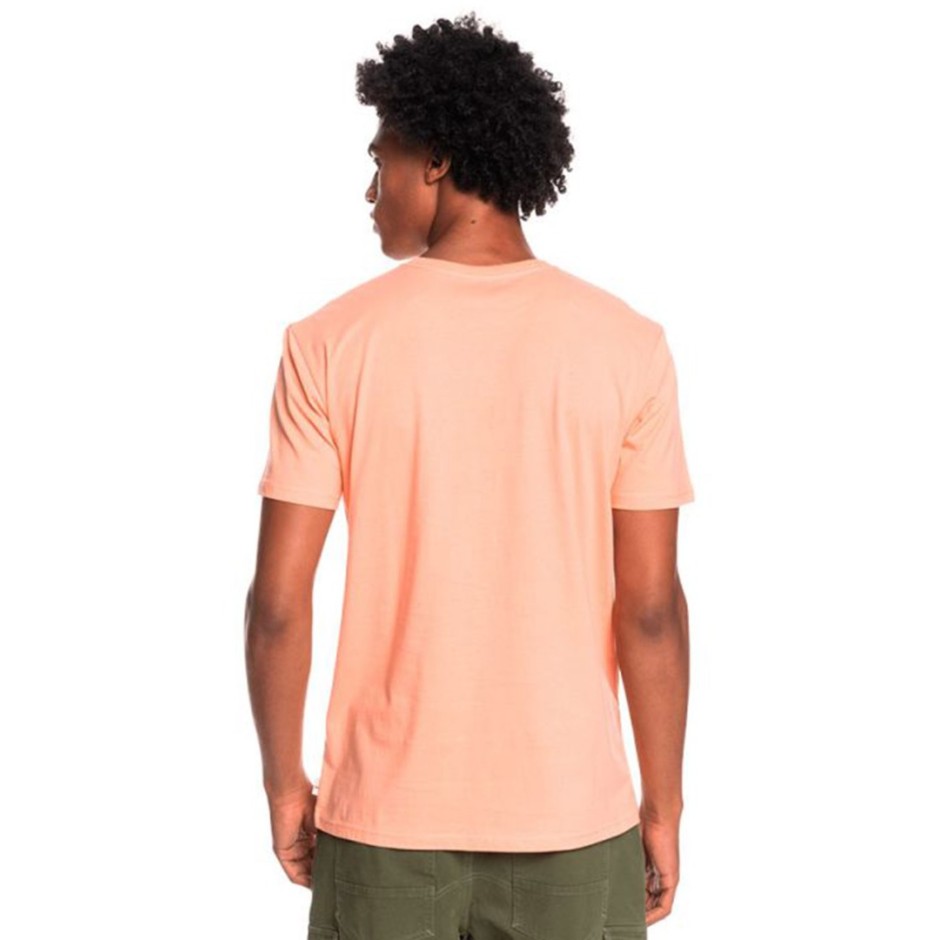 QUIKSILVER SILVER LINING SS EQYZT06711-MGK0 Pink