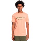 QUIKSILVER SILVER LINING SS EQYZT06711-MGK0 Pink