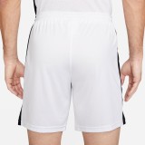 NIKE DRI-FIT ACADEMY FOOTBALL SHORTS Λευκό 