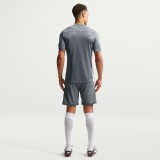 Ανδρικό Σορτς Ποδοσφαίρου Γκρι - Nike Academy Εικόνα 3
