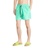 NIKE SWOOSH BREAK 5 VOLLEY SHORT NESSC601-380 Green Image 