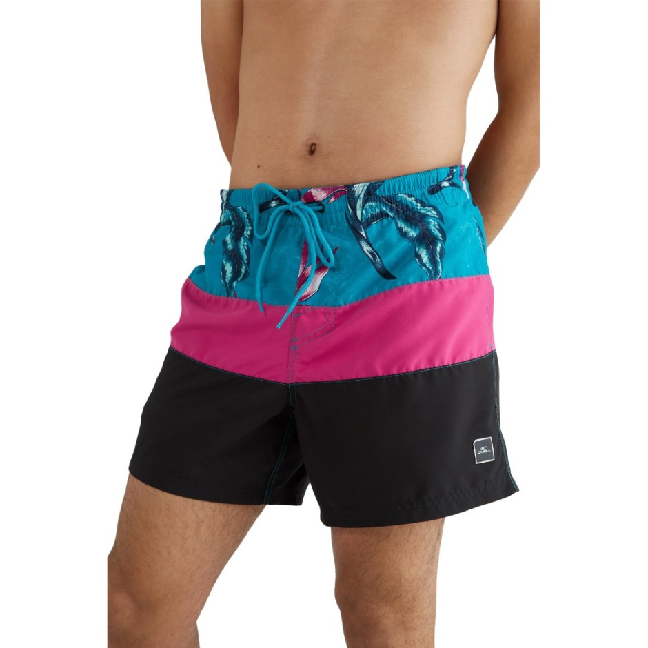 O'NEILL FRAME BLOCK SHORTS N2800006-23010 Colorful