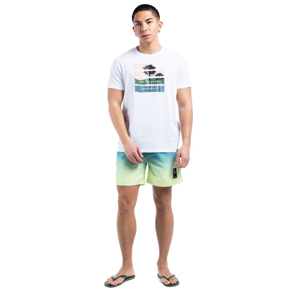 DISTRICT75 125MSW-344-036 Colorful