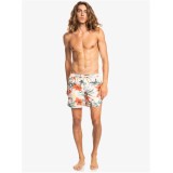 QUIKSILVER EVERYDAY GARDEN PATH VOLLEY 15 EQYJV03867-MGK6 Pink Image 1