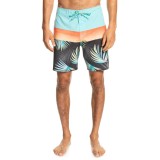 QUIKSILVER SURFSILK PANEL 18 EQYBS04658-KTA6 Πολύχρωμο Εικόνα 