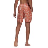 adidas Performance FESTIWLD CLX CL GM2225 Somon Image 0