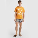 O'NEILL CALI PRINT 15'' SWIM SHORTS Μαύρο Εικόνα 5