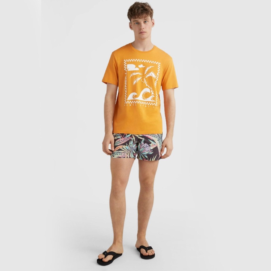 O'NEILL CALI PRINT 15'' SWIM SHORTS Μαύρο