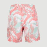 O'NEILL CALI CRAZY 16'' SWIM SHORTS Πολύχρωμο Εικόνα 2