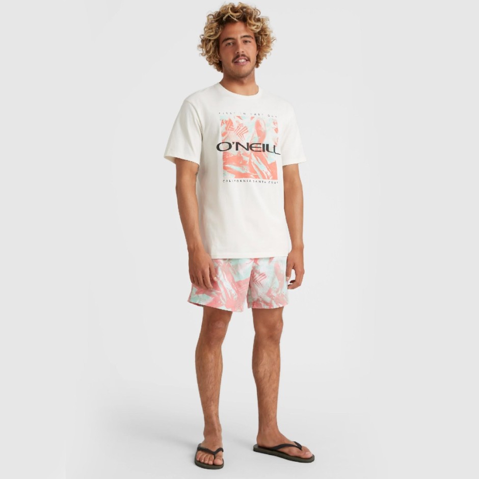 O'NEILL CALI CRAZY 16'' SWIM SHORTS Πολύχρωμο