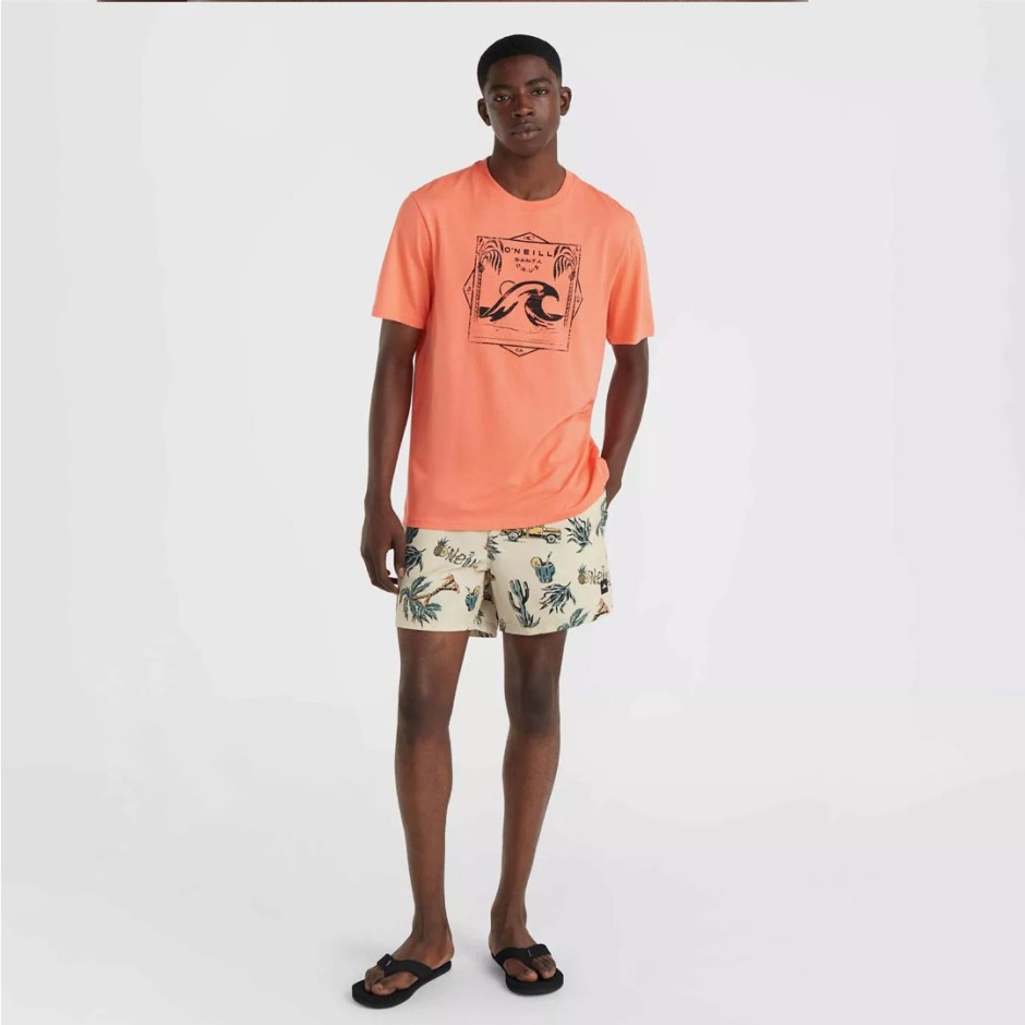 O'NEILL MIX & MATCH CALI PRINT 15 SWIM SHORTS 2800131-37530 Colorful