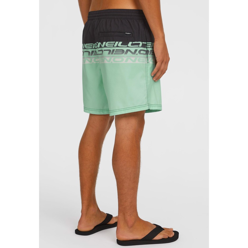O'NEILL CALI STRIPE 16 SWIMSHORTS 2800209-36089 Colorful