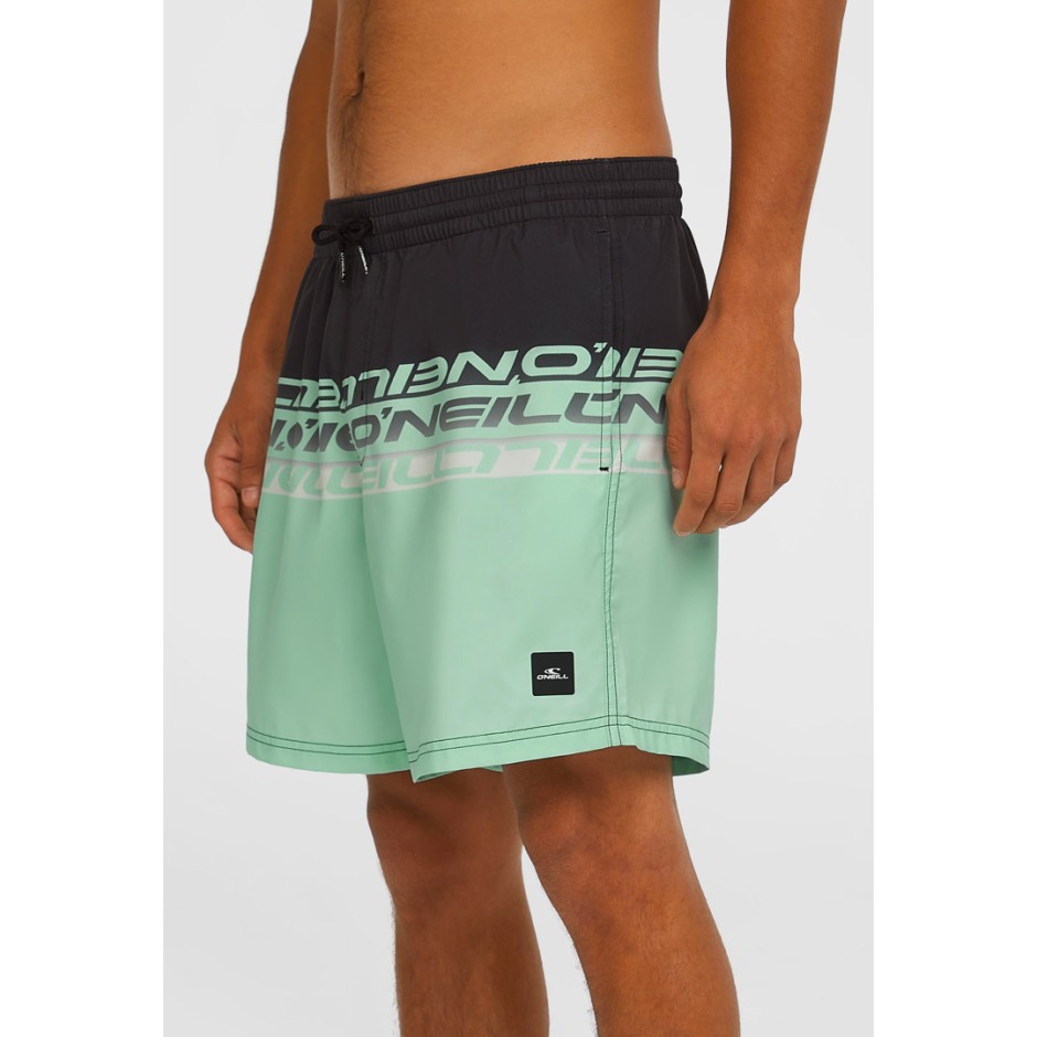 O'NEILL CALI STRIPE 16 SWIMSHORTS 2800209-36089 Colorful