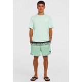 O'NEILL CALI STRIPE 16 SWIMSHORTS 2800209-36089 Colorful Image 2