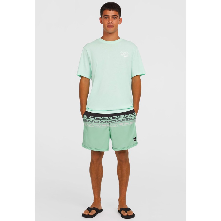 O'NEILL CALI STRIPE 16 SWIMSHORTS 2800209-36089 Colorful