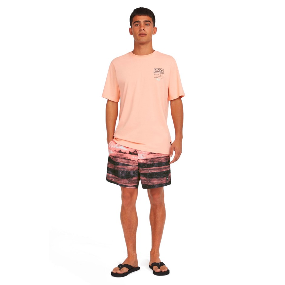 O'NEILL CALI GRADIENT 15 SWIMSHORTS 2800194-34029 Colorful