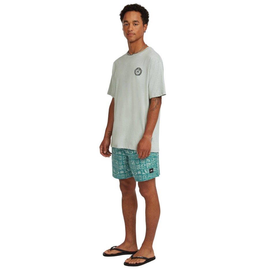 Men's Swim Shorts Veraman - O'Neill Print 16"