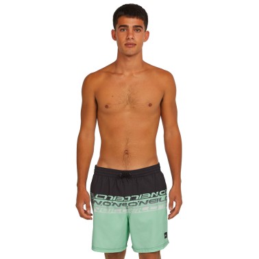 O'NEILL CALI STRIPE 16 SWIMSHORTS 2800209-36089 Colorful