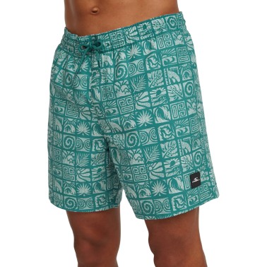 Men's Swim Shorts Veraman - O'Neill Print 16"