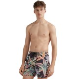O'NEILL CALI PRINT 15'' SWIM SHORTS Μαύρο Εικόνα 