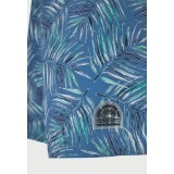 Men's Swim Shorts Blue - Funky Buddha Image 1
