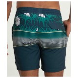 HURLEY PHANTOM CANNONBALL VOLLEY 17' MBS0010860-H306 Colorful Image 0