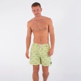 HURLEY M VOLLEY ICON PRINTING PRESS ARBORE MBEU00014-704 Κίτρινο Εικόνα 2