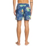 QUIKSILVER PARADISE EXPRESS VOLLEY 15 EQYJV03705-BPZ6 Blue Image 0