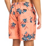 QUIKSILVER EVERYDAY MIX VOLLEY 17 EQYJV04002-MHV6 Somon Image 0