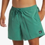 QUIKSILVER EVERYDAY SOLID VOLLEY 15 AQYJV03153-GMP0 Green