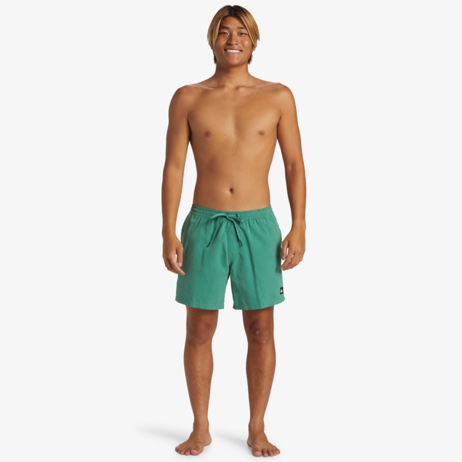 QUIKSILVER EVERYDAY SOLID VOLLEY 15 AQYJV03153-GMP0 Green