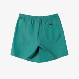 QUIKSILVER EVERYDAY SOLID VOLLEY 15 AQYJV03153-GMP0 Green Image 5