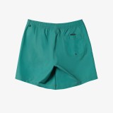 QUIKSILVER EVERYDAY SOLID VOLLEY 15 AQYJV03153-GMP0 Green