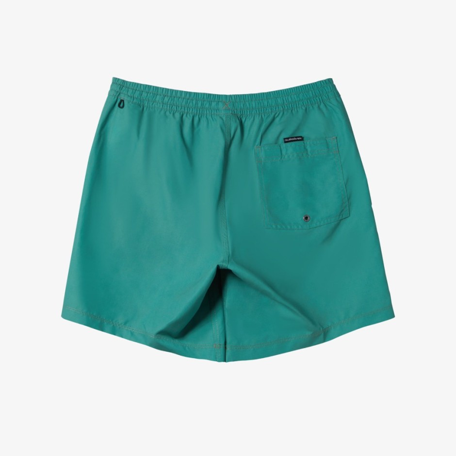 QUIKSILVER EVERYDAY SOLID VOLLEY 15 AQYJV03153-GMP0 Green