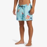 QUIKSILVER EVERYDAY MIX VOLLEY 15 AQYJV03147-BET6 Siel Image 1
