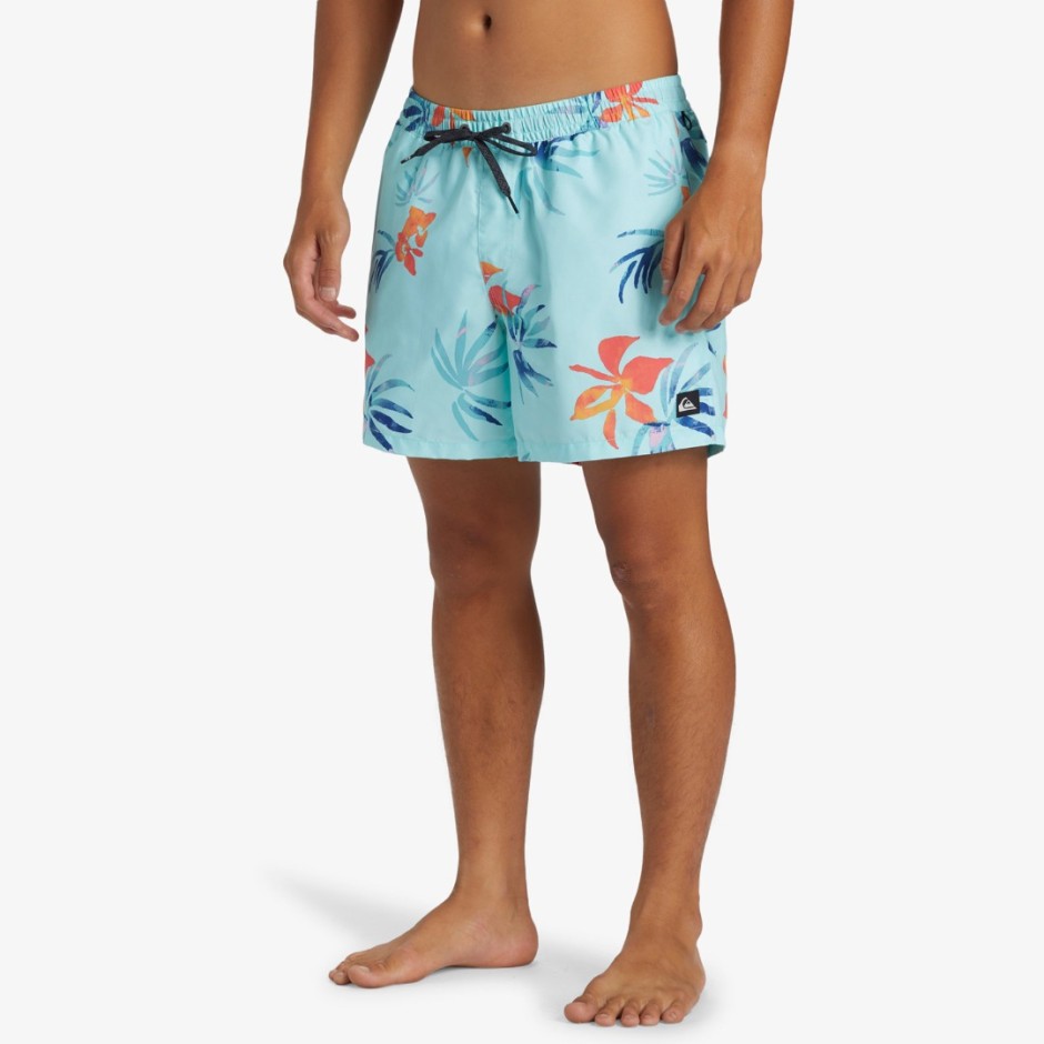 QUIKSILVER EVERYDAY MIX VOLLEY 15 AQYJV03147-BET6 Siel
