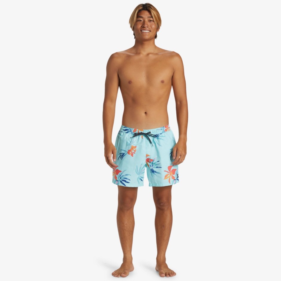 QUIKSILVER EVERYDAY MIX VOLLEY 15 AQYJV03147-BET6 Siel