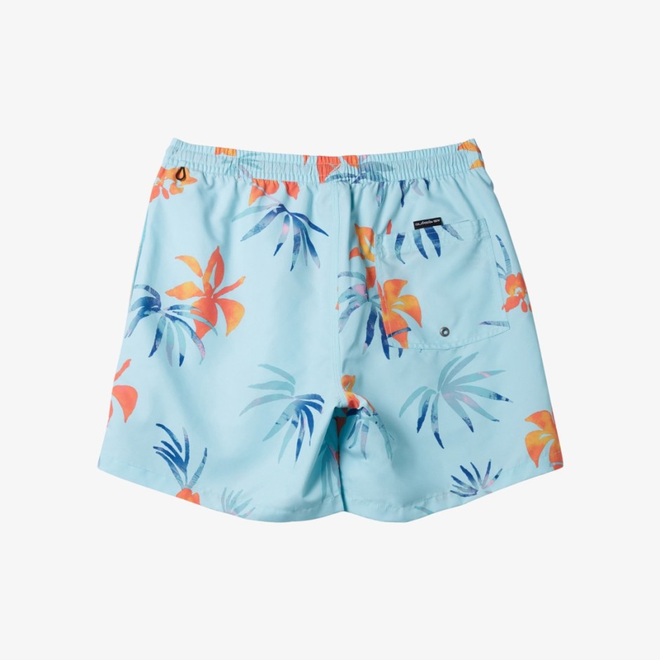 QUIKSILVER EVERYDAY MIX VOLLEY 15 AQYJV03147-BET6 Siel