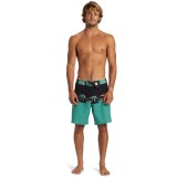 QUIKSILVER SURFSILK PANEL 18 AQYBS03656-KVJ6 Colorful Image 2