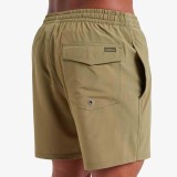 QUIKSILVER SURFSILK SOLID VOLLEY 16 EQYJV04118-TMZ0 Beige Image 3