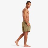 QUIKSILVER SURFSILK SOLID VOLLEY 16 EQYJV04118-TMZ0 Beige Image 4