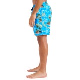 QUIKSILVER EVERYDAY STRAIGHT VOLLEY 17 EQYJV04100-BLQ6 Blue Image 1