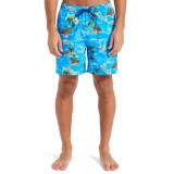 QUIKSILVER EVERYDAY STRAIGHT VOLLEY 17 EQYJV04100-BLQ6 Blue Image 