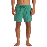 QUIKSILVER EVERYDAY SOLID VOLLEY 15 AQYJV03153-GMP0 Green Image 