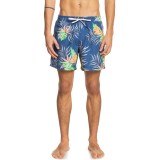 QUIKSILVER PARADISE EXPRESS VOLLEY 15 EQYJV03705-BPZ6 Blue Image 