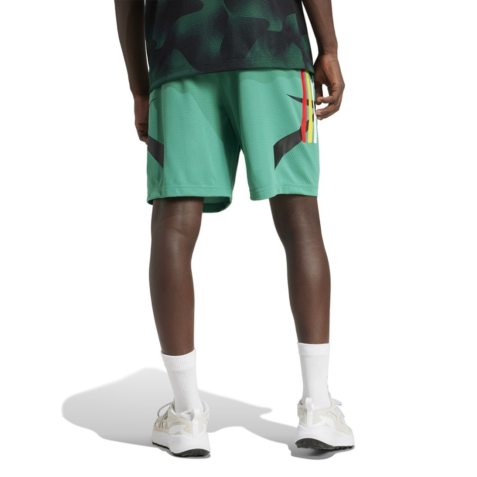 Ανδρική Βερμούδα Πράσινη - adidas Sportswear House Of Tiro Nations Pack