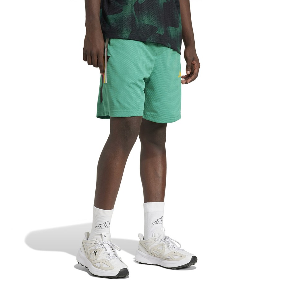 Ανδρική Βερμούδα Πράσινη - adidas Sportswear House Of Tiro Nations Pack